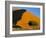 Sand Dune, Sossusvlei Dune Field, Namib-Naukluft Park, Namib Desert, Namibia, Africa-Steve & Ann Toon-Framed Photographic Print