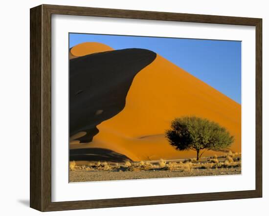 Sand Dune, Sossusvlei Dune Field, Namib-Naukluft Park, Namib Desert, Namibia, Africa-Steve & Ann Toon-Framed Photographic Print