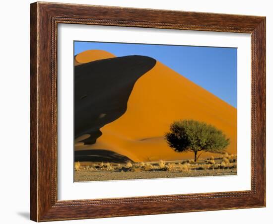 Sand Dune, Sossusvlei Dune Field, Namib-Naukluft Park, Namib Desert, Namibia, Africa-Steve & Ann Toon-Framed Photographic Print