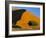 Sand Dune, Sossusvlei Dune Field, Namib-Naukluft Park, Namib Desert, Namibia, Africa-Steve & Ann Toon-Framed Photographic Print