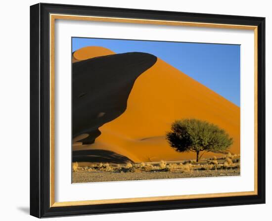 Sand Dune, Sossusvlei Dune Field, Namib-Naukluft Park, Namib Desert, Namibia, Africa-Steve & Ann Toon-Framed Photographic Print