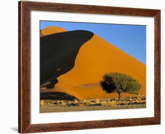 Sand Dune, Sossusvlei Dune Field, Namib-Naukluft Park, Namib Desert, Namibia, Africa-Steve & Ann Toon-Framed Photographic Print