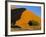 Sand Dune, Sossusvlei Dune Field, Namib-Naukluft Park, Namib Desert, Namibia, Africa-Steve & Ann Toon-Framed Photographic Print