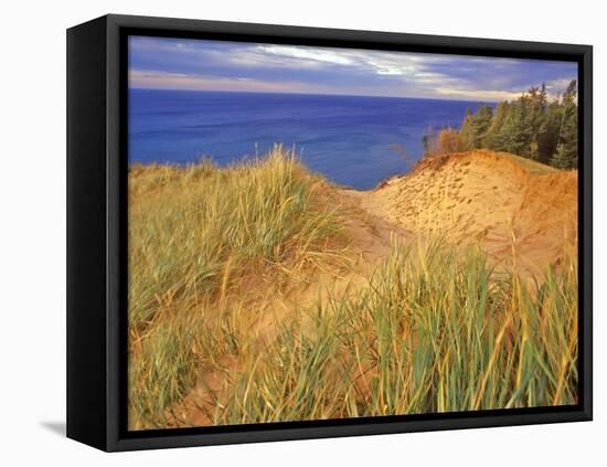 Sand Dunes Along Lake Superior at Pictured Rocks National Seashore, Grand Marais, Michigan, USA-Chuck Haney-Framed Premier Image Canvas