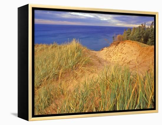 Sand Dunes Along Lake Superior at Pictured Rocks National Seashore, Grand Marais, Michigan, USA-Chuck Haney-Framed Premier Image Canvas
