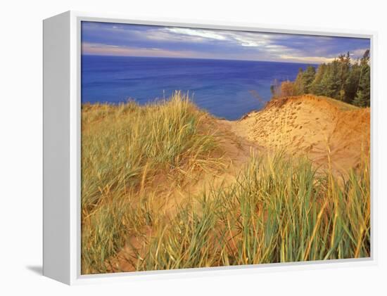 Sand Dunes Along Lake Superior at Pictured Rocks National Seashore, Grand Marais, Michigan, USA-Chuck Haney-Framed Premier Image Canvas