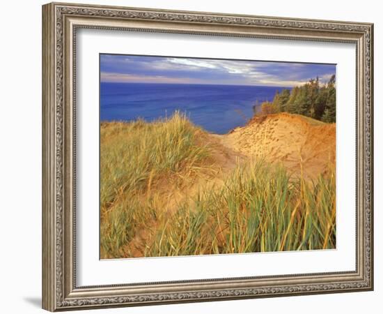 Sand Dunes Along Lake Superior at Pictured Rocks National Seashore, Grand Marais, Michigan, USA-Chuck Haney-Framed Photographic Print