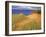 Sand Dunes Along Lake Superior at Pictured Rocks National Seashore, Grand Marais, Michigan, USA-Chuck Haney-Framed Photographic Print