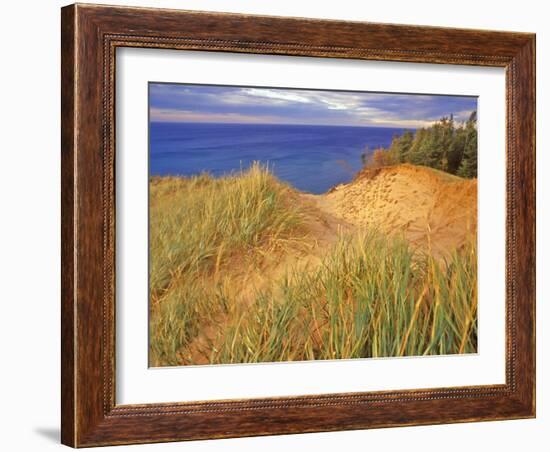 Sand Dunes Along Lake Superior at Pictured Rocks National Seashore, Grand Marais, Michigan, USA-Chuck Haney-Framed Photographic Print