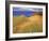 Sand Dunes Along Lake Superior at Pictured Rocks National Seashore, Grand Marais, Michigan, USA-Chuck Haney-Framed Photographic Print