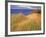 Sand Dunes Along Lake Superior at Pictured Rocks National Seashore, Grand Marais, Michigan, USA-Chuck Haney-Framed Photographic Print