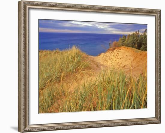 Sand Dunes Along Lake Superior at Pictured Rocks National Seashore, Grand Marais, Michigan, USA-Chuck Haney-Framed Photographic Print