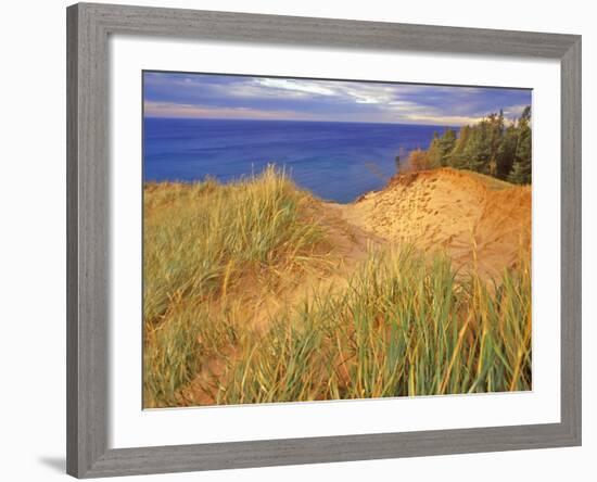 Sand Dunes Along Lake Superior at Pictured Rocks National Seashore, Grand Marais, Michigan, USA-Chuck Haney-Framed Photographic Print