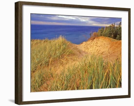 Sand Dunes Along Lake Superior at Pictured Rocks National Seashore, Grand Marais, Michigan, USA-Chuck Haney-Framed Photographic Print