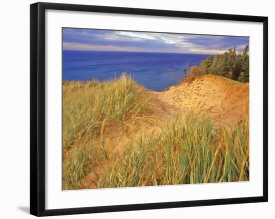 Sand Dunes Along Lake Superior at Pictured Rocks National Seashore, Grand Marais, Michigan, USA-Chuck Haney-Framed Photographic Print