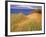 Sand Dunes Along Lake Superior at Pictured Rocks National Seashore, Grand Marais, Michigan, USA-Chuck Haney-Framed Photographic Print