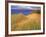 Sand Dunes Along Lake Superior at Pictured Rocks National Seashore, Grand Marais, Michigan, USA-Chuck Haney-Framed Photographic Print