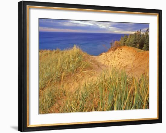 Sand Dunes Along Lake Superior at Pictured Rocks National Seashore, Grand Marais, Michigan, USA-Chuck Haney-Framed Photographic Print