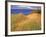 Sand Dunes Along Lake Superior at Pictured Rocks National Seashore, Grand Marais, Michigan, USA-Chuck Haney-Framed Photographic Print