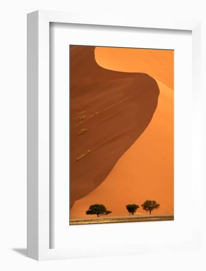 Sand dunes and acacia trees, Namibia-Eric Baccega-Framed Photographic Print