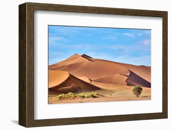 Sand dunes and acacia trees, Namibia-Eric Baccega-Framed Photographic Print
