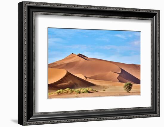 Sand dunes and acacia trees, Namibia-Eric Baccega-Framed Photographic Print