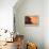 Sand dunes and acacia trees, Namibia-Eric Baccega-Framed Premier Image Canvas displayed on a wall