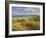 Sand Dunes and Dune Grasses of Mellon Udrigle Beach, Wester Ross, North West Scotland-Neale Clarke-Framed Photographic Print