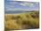 Sand Dunes and Dune Grasses of Mellon Udrigle Beach, Wester Ross, North West Scotland-Neale Clarke-Mounted Photographic Print