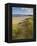 Sand Dunes and Dune Grasses of Mellon Udrigle Beach, Wester Ross, North West Scotland-Neale Clarke-Framed Premier Image Canvas