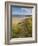 Sand Dunes and Dune Grasses of Mellon Udrigle Beach, Wester Ross, North West Scotland-Neale Clarke-Framed Photographic Print