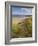 Sand Dunes and Dune Grasses of Mellon Udrigle Beach, Wester Ross, North West Scotland-Neale Clarke-Framed Photographic Print