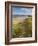 Sand Dunes and Dune Grasses of Mellon Udrigle Beach, Wester Ross, North West Scotland-Neale Clarke-Framed Photographic Print