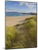 Sand Dunes and Dune Grasses of Mellon Udrigle Beach, Wester Ross, North West Scotland-Neale Clarke-Mounted Photographic Print