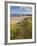 Sand Dunes and Dune Grasses of Mellon Udrigle Beach, Wester Ross, North West Scotland-Neale Clarke-Framed Photographic Print