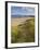 Sand Dunes and Dune Grasses of Mellon Udrigle Beach, Wester Ross, North West Scotland-Neale Clarke-Framed Photographic Print