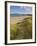 Sand Dunes and Dune Grasses of Mellon Udrigle Beach, Wester Ross, North West Scotland-Neale Clarke-Framed Photographic Print