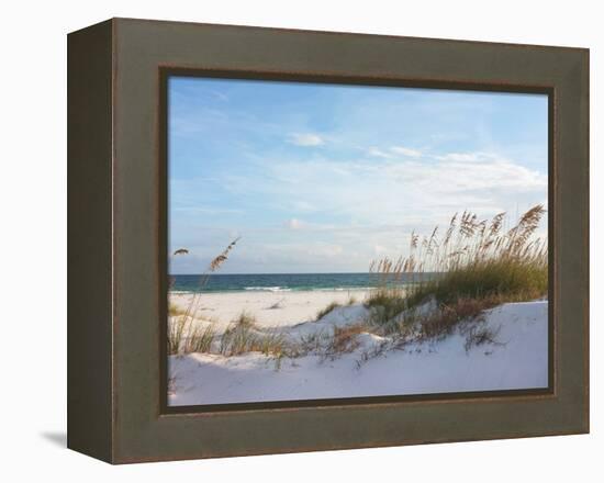 Sand Dunes and Ocean at Sunset, Pensacola, Florida.-forestpath-Framed Premier Image Canvas