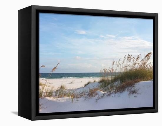 Sand Dunes and Ocean at Sunset, Pensacola, Florida.-forestpath-Framed Premier Image Canvas