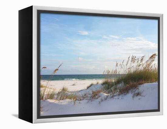 Sand Dunes and Ocean at Sunset, Pensacola, Florida.-forestpath-Framed Premier Image Canvas