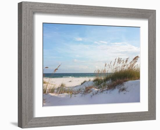 Sand Dunes and Ocean at Sunset, Pensacola, Florida.-forestpath-Framed Photographic Print