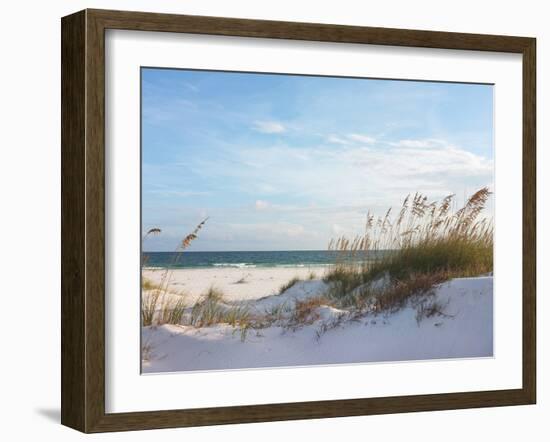 Sand Dunes and Ocean at Sunset, Pensacola, Florida.-forestpath-Framed Photographic Print