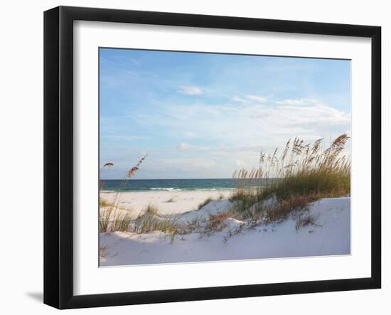 Sand Dunes and Ocean at Sunset, Pensacola, Florida.-forestpath-Framed Photographic Print