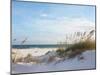 Sand Dunes and Ocean at Sunset, Pensacola, Florida.-forestpath-Mounted Photographic Print