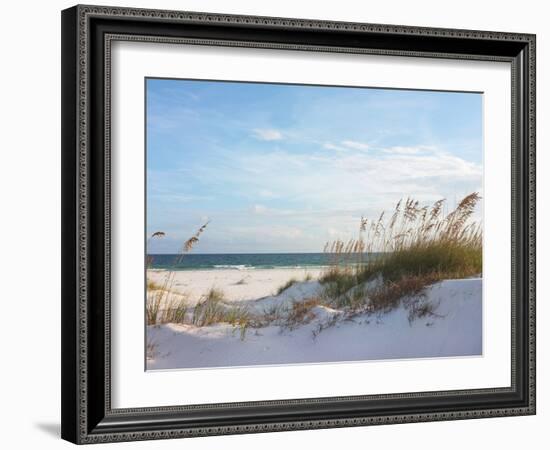 Sand Dunes and Ocean at Sunset, Pensacola, Florida.-forestpath-Framed Photographic Print