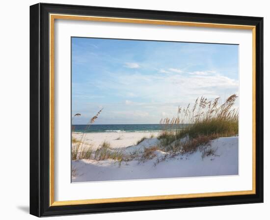 Sand Dunes and Ocean at Sunset, Pensacola, Florida.-forestpath-Framed Photographic Print