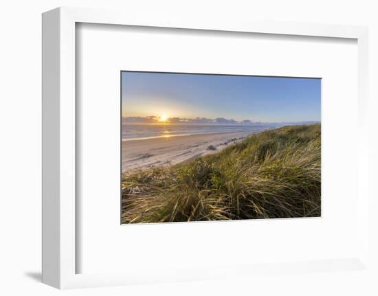 Sand Dunes and Pacific Ocean in the Oregon Dunes NRA, Oregon-Chuck Haney-Framed Photographic Print