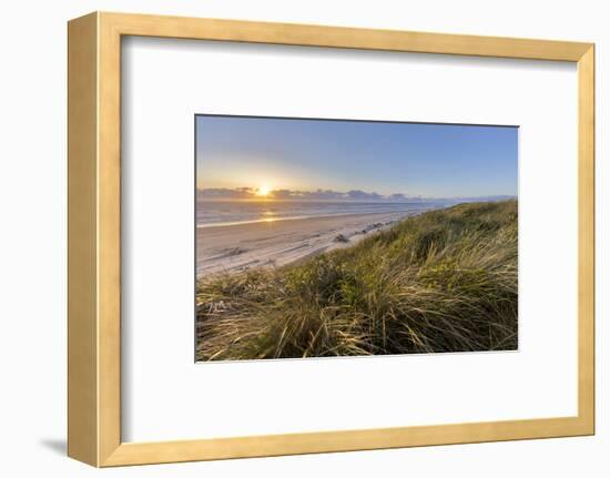 Sand Dunes and Pacific Ocean in the Oregon Dunes NRA, Oregon-Chuck Haney-Framed Photographic Print