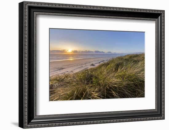 Sand Dunes and Pacific Ocean in the Oregon Dunes NRA, Oregon-Chuck Haney-Framed Photographic Print