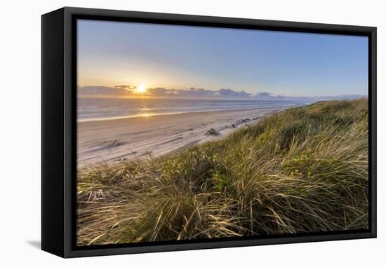 Sand Dunes and Pacific Ocean in the Oregon Dunes NRA, Oregon-Chuck Haney-Framed Premier Image Canvas